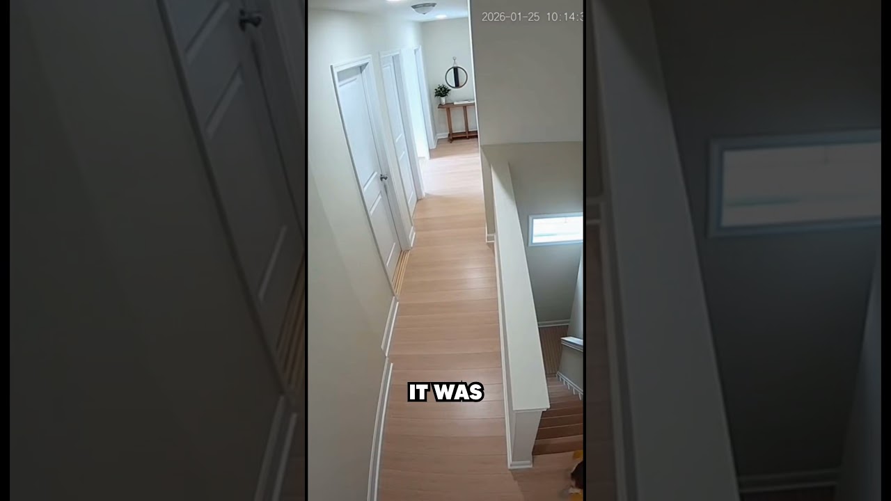 The Dog Reacted Before The Fall 