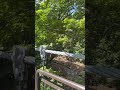 心も体も弾む吊り橋効果 suspension bridge at Fukidashi park