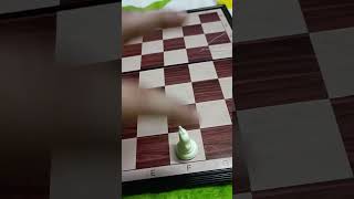 كيف تلعب شطرنج