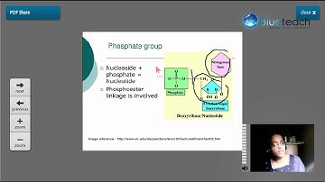 Molecular Basis of Inheritance