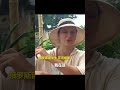 老奶奶不慎失足落水，俄罗斯女留学生飞奔赶来，纵身跳入水中成功施救。这份跨国的善意令人动容，为人美心善的姑娘点赞！
