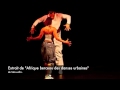 Fatou  guillaume  extrait de  afrique berceau des danses urbaines de snsuafro