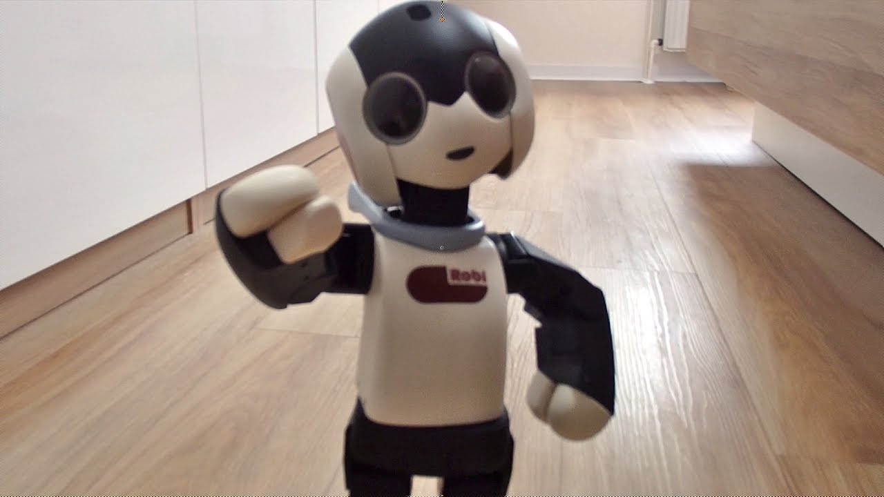 ROBI　DeAGOSTINI Deagostini Robi 2 and Q-bo Robot Junk From Japan | eBay
