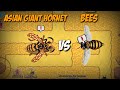 Asian giant hornet vs bees  pocket ants