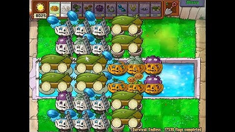 Classic 8 Cob Setups | Pool and Fog Endless