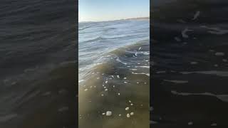 Darood Pak Recitation. Peaceful Sea View At Ormara,Balochistan Darood Shareef シViral