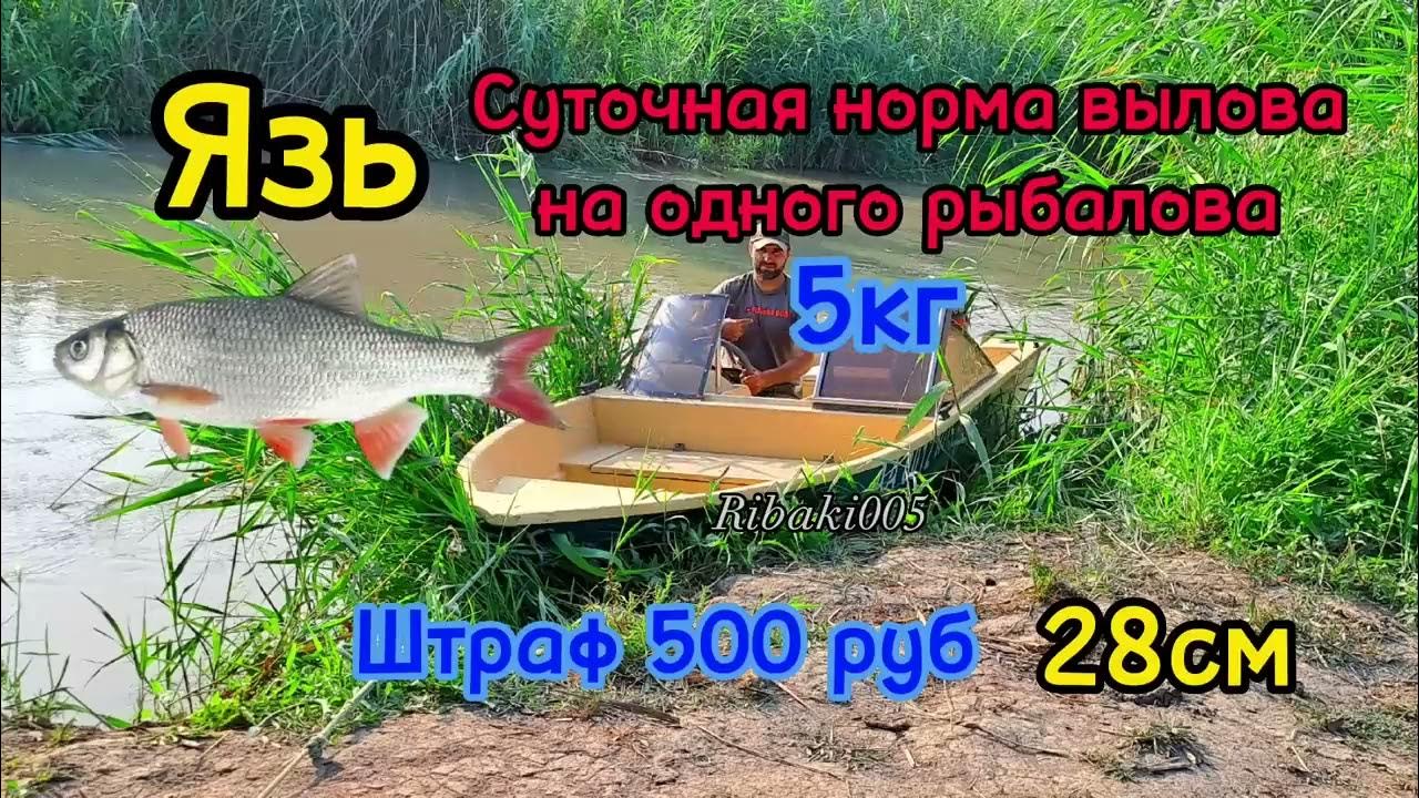 Чкаловская рыбалка 2023. Рыба в воронежском водохранилище. Правила рыбалки. Штрафы за рыбалку в 2024 году. Штраф за рыбалку.