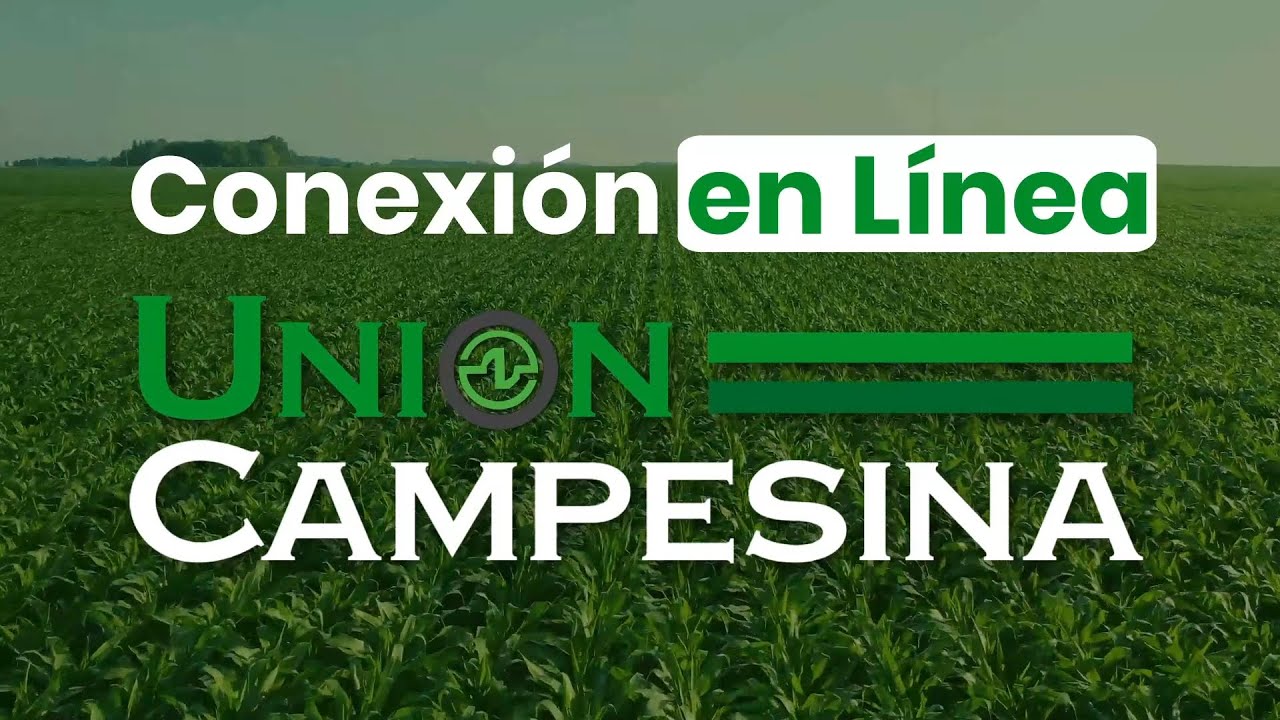 Revista Conexi n En L nea Uni n Campesina YouTube revista-conexi-n-en-l-nea-uni-n-campesina-youtube