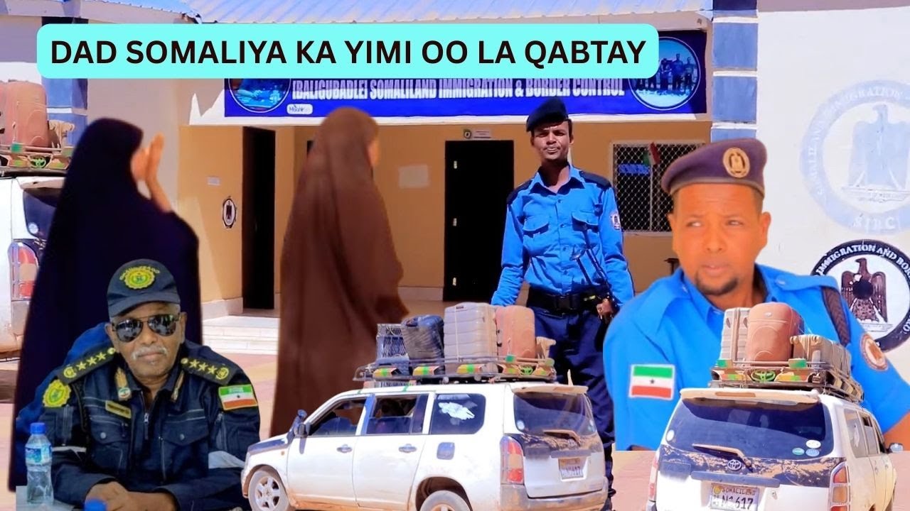 Новость: Арестованы выходцы из Сомали, тайно проникшие на границу из Эфиопии.