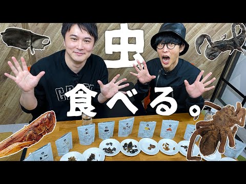 オーイシ加藤、虫を食べる。【昆虫食#1】