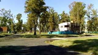 Alvarez Del Bosque Paneo 360 B
