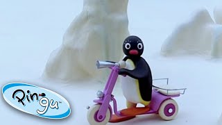 Pingu And His New Scooter!@Pingu  Cartoons For Kids