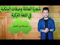 شجرة العائلة وصفات الملكية في اللغة التركية | من الصفر | الحلقة 3