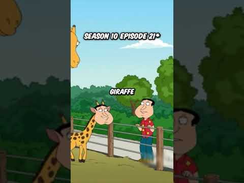 5 Times Quagmire Was Like