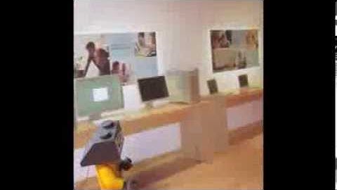 Life in Computers, Computer Viruses