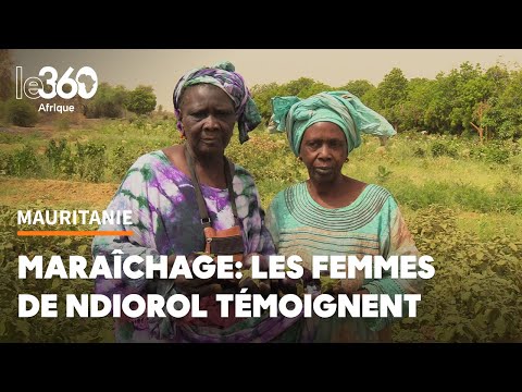Horticulture, le témoignage d’agricultrices mauritaniennes