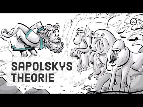 Video: Evolution Und Metaphorische Sprache: Robert Sapolsky über Unsere Fähigkeit, In Symbolen Zu Denken