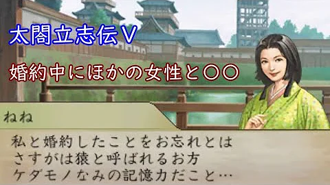 太閤立志伝5 攻防戦