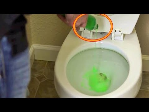 Video: Ar trebui să puneți lichid de spălat vase în toaletă?