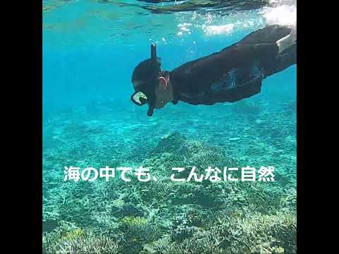 夏、泳げるカツラ