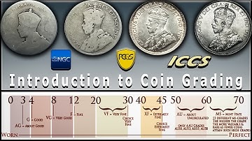How to Grade Coins: Beginners Guide to the Sheldon Scale, Numismatics & Canadian Coin Collecting!!