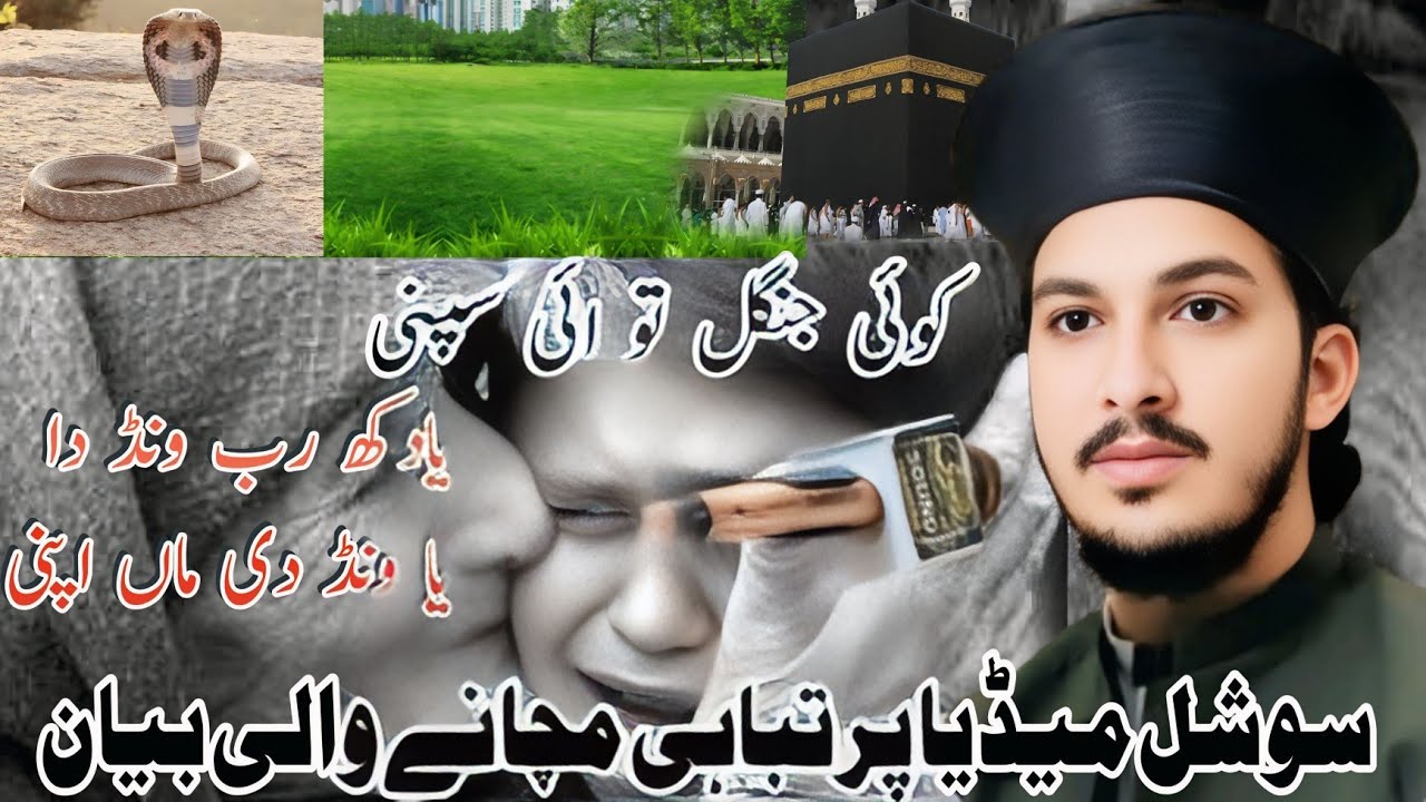 What Koi Fish Experts Don't Want You to Know About Jangal Pond Care.