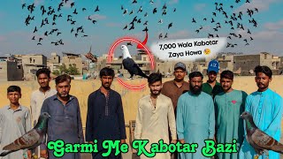 Nabeel Bhai Ka Shooq  || Garmio Me Kabotar Ki VIP Uran ✌ || Rehan Azam Birds