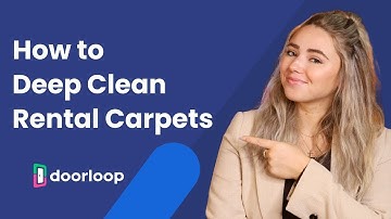 Landlords Need These Tools to Deep Clean Rental Property Carpets
