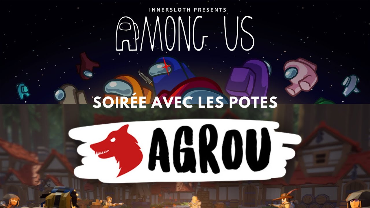 Petite soirée en multi (Among Us + Agrou )