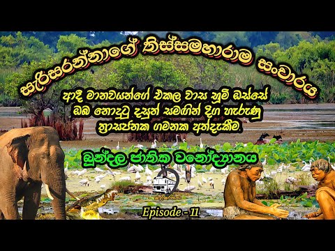 බ න දල ජ ත ක වන ද ය නය ත ර සජනක ස ච රය Bundala National Park The SL Surfer ස ර සරන න EP 11