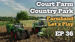 Forage Harvester at Work | Let's Play Court farm Country Park EP36 screenshot 5