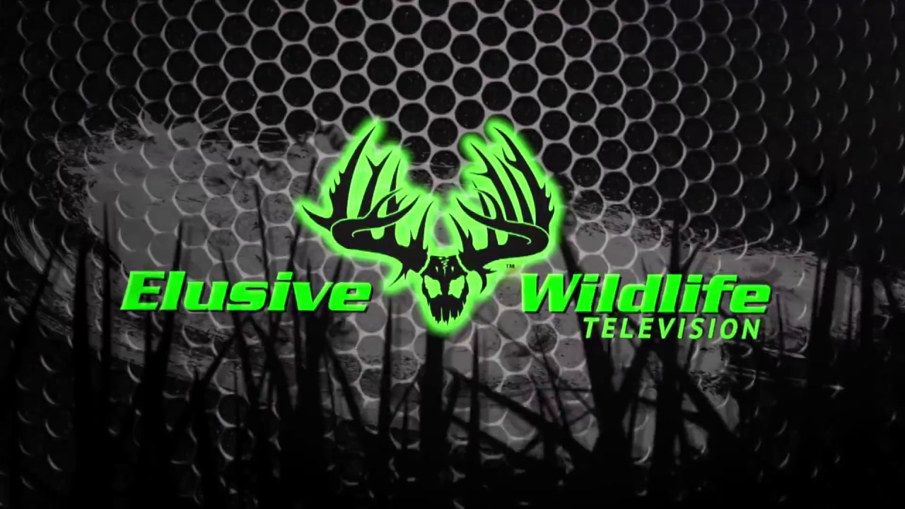 Elusive Wildlife Television, Season 1 Episode 2