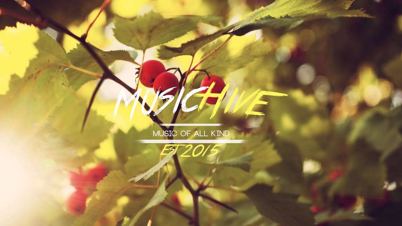 Quinn XCII Wounds (Prod. ayokay) YouTube