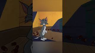 Tom i Jerry po polsku 🇵🇱 | Jerry balerina 🩰 | #shorts |  @WBKidsInternational