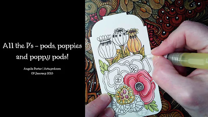 All the P's - pods, poppies and poppy pods! #DrawWithMe