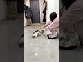 只有小猫才愿意陪我玩! #萌宠 #吸猫 #治愈系猫咪