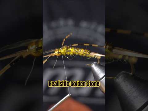 Fly Tying -