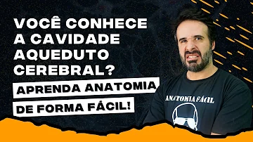 O que significa estenose de aqueduto?