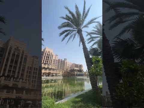 كيف نخفي حبنا والشوق فاضح محمد عبده اختلفنا مين يحب الثاني اكثر حب اكسبلور