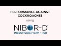 Nibor-D + IGR’s Performance Against Cockroaches