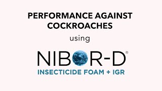 Nibor-D + IGR’s Performance Against Cockroaches