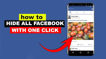 How To Hide All Posts on Facebook -Full Guide
