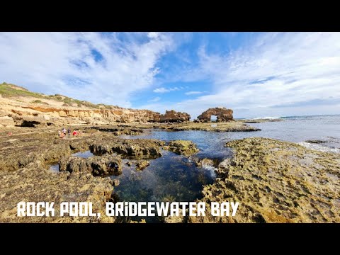 #travel in Australia | Rock Pool, Bridgewater Bay | Victoria