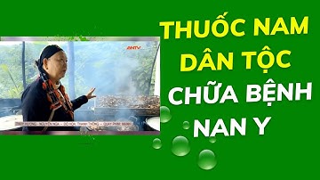 Thuốc Nam Người Dao Ba Vì - Chữa khỏi bệnh nan y - 0908896991