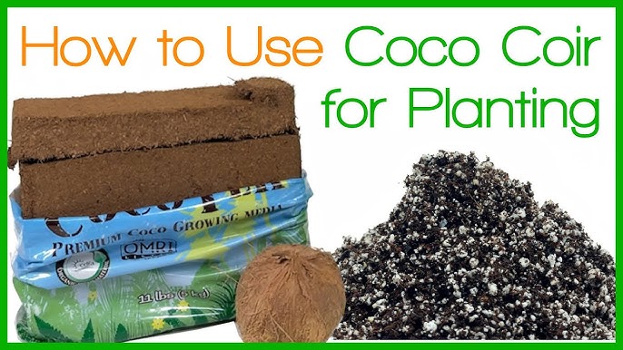 Grow plants faster using coco peat  How to use coco peat for gardening 