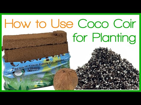 Video: Apakah canna coco membutuhkan perlite?