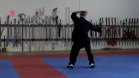 IA Kung Fu Shaolin Leopard Form