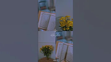 Quran Relaxed Sleep We Ll Shorts Islamic Muslimquran Youtubeshorts Shortfeed Whatsappstatus 