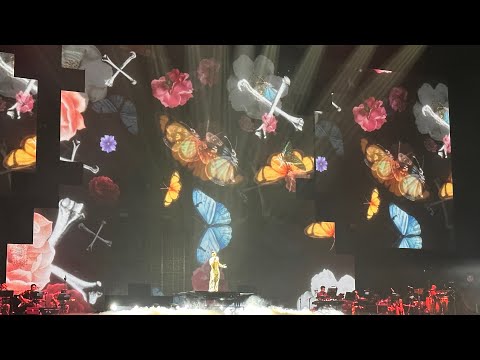 草蜢20230318小巨蛋演唱會(忘情森巴舞）