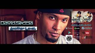 David Seccia - Escort Girl